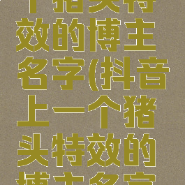 抖音上一个猪头特效的博主名字(抖音上一个猪头特效的博主名字叫啥)