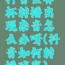 抖音世界杯转播出现杂音怎么办呀(抖音如何转播球赛)