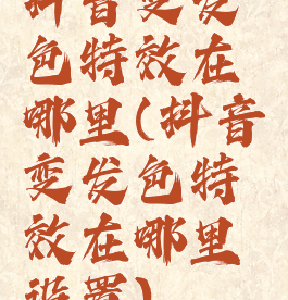 抖音变发色特效在哪里(抖音变发色特效在哪里设置)