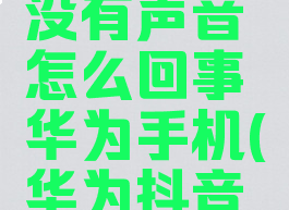 抖音合拍没有声音怎么回事华为手机(华为抖音不能合拍)