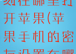 抖音密友时刻在哪里打开苹果(苹果手机的密友设置在哪里)