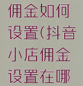 抖音小店佣金如何设置(抖音小店佣金设置在哪里)