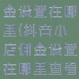 抖音小店佣金设置在哪里(抖音小店佣金设置在哪里查看)