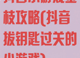 抖音小游戏金枝攻略(抖音拔钥匙过关的小游戏)