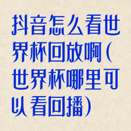 抖音怎么看世界杯回放啊(世界杯哪里可以看回播)