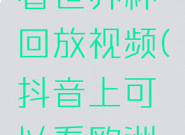 抖音怎么看世界杯回放视频(抖音上可以看欧洲杯直播吗)