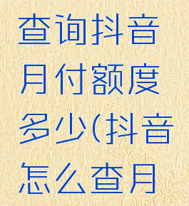 抖音怎么查询抖音月付额度多少(抖音怎么查月账单)