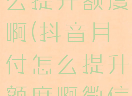 抖音月付怎么提升额度啊(抖音月付怎么提升额度啊微信)