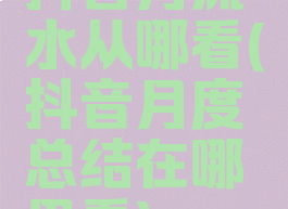抖音月流水从哪看(抖音月度总结在哪里看)