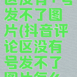 抖音评论区没有+号发不了图片(抖音评论区没有号发不了图片怎么回事)