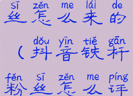 抖音铁杆粉丝怎么来的(抖音铁杆粉丝怎么评选的)