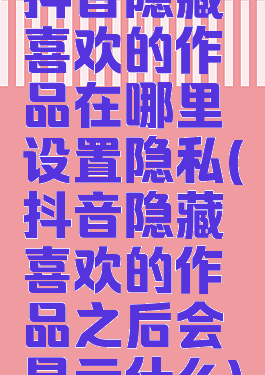 抖音隐藏喜欢的作品在哪里设置隐私(抖音隐藏喜欢的作品之后会显示什么)