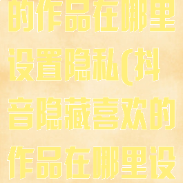 抖音隐藏喜欢的作品在哪里设置隐私(抖音隐藏喜欢的作品在哪里设置隐私权限)