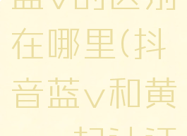 抖音黄v和蓝v的区别在哪里(抖音蓝v和黄v一起认证吗)