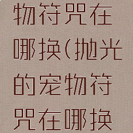 抛光的宠物符咒在哪换(抛光的宠物符咒在哪换升级)