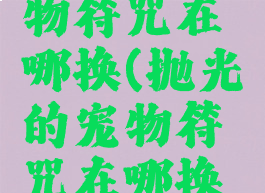 抛光的宠物符咒在哪换(抛光的宠物符咒在哪换坐骑)