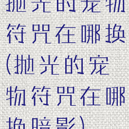 抛光的宠物符咒在哪换(抛光的宠物符咒在哪换暗影)