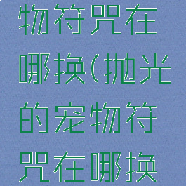 抛光的宠物符咒在哪换(抛光的宠物符咒在哪换暗影界)