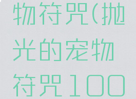 抛光的宠物符咒(抛光的宠物符咒10000个)