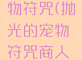 抛光的宠物符咒(抛光的宠物符咒商人位置)