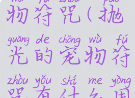 抛光的宠物符咒(抛光的宠物符咒有什么用)