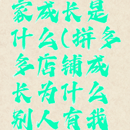 拼多多商家成长是什么(拼多多店铺成长为什么别人有我没有)