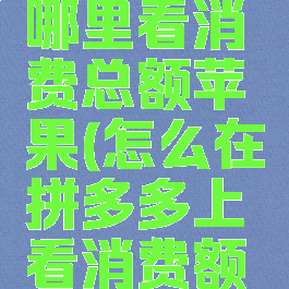 拼多多在哪里看消费总额苹果(怎么在拼多多上看消费额数)