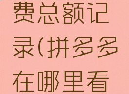 拼多多在哪里看消费总额记录(拼多多在哪里看消费总额记录查询)