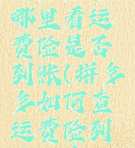 拼多多在哪里看运费险是否到账(拼多多如何查运费险到账没有)