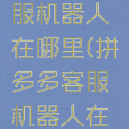 拼多多客服机器人在哪里(拼多多客服机器人在哪里打开)