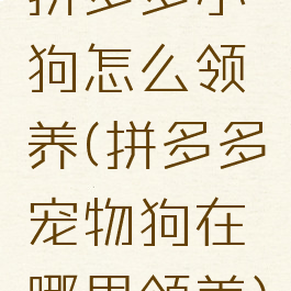 拼多多小狗怎么领养(拼多多宠物狗在哪里领养)