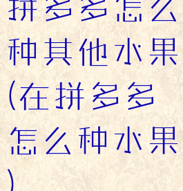 拼多多怎么种其他水果(在拼多多怎么种水果)