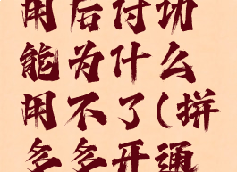 拼多多怎么开通先用后付功能为什么用不了(拼多多开通了先用后付用不了)