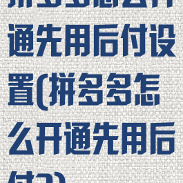 拼多多怎么开通先用后付设置(拼多多怎么开通先用后付?)