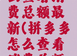 拼多多怎么查看消费总额最新(拼多多怎么查看消费总额最新消息)