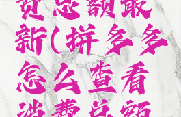 拼多多怎么查看消费总额最新(拼多多怎么查看消费总额最新消费记录)