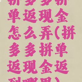 拼多多拼单返现金怎么弄(拼多多拼单返现金返到哪里)