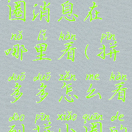 拼多多拼小圈消息在哪里看(拼多多怎么看到拼小圈的信息)