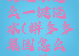 拼多多果园浇水怎么一键浇水(拼多多果园怎么一次性把水浇完)