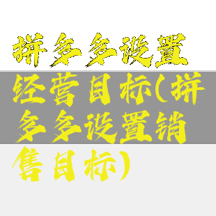 拼多多设置经营目标(拼多多设置销售目标)