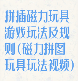 拼插磁力玩具游戏玩法及规则(磁力拼图玩具玩法视频)