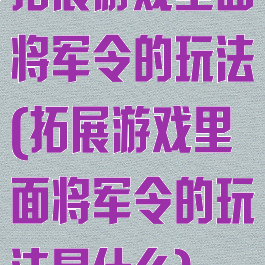 拓展游戏里面将军令的玩法(拓展游戏里面将军令的玩法是什么)
