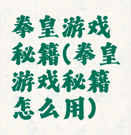 拳皇游戏秘籍(拳皇游戏秘籍怎么用)