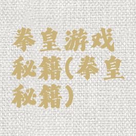 拳皇游戏秘籍(拳皇秘籍)