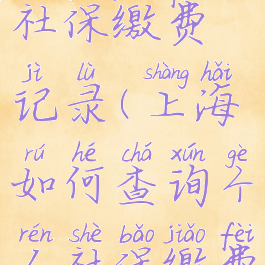 查询个人社保缴费记录(上海如何查询个人社保缴费记录)