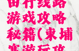 柬埔寨自由行线路游戏攻略秘籍(柬埔寨游玩攻略)