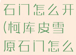 柯库皮雪原石门怎么开(柯库皮雪原石门怎么滚雪球)