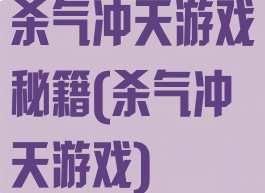 杀气冲天游戏秘籍(杀气冲天游戏)