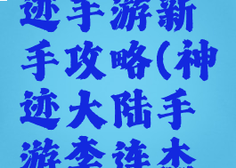 李连杰奇迹手游新手攻略(神迹大陆手游李连杰代言攻略)