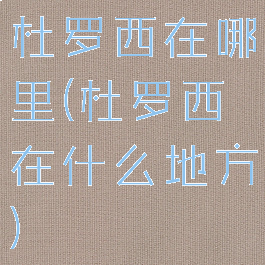 杜罗西在哪里(杜罗西在什么地方)